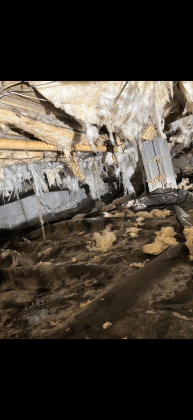 Crawl space with damaged and hanging insulation, exposed wooden beams, and scattered debris on the ground.