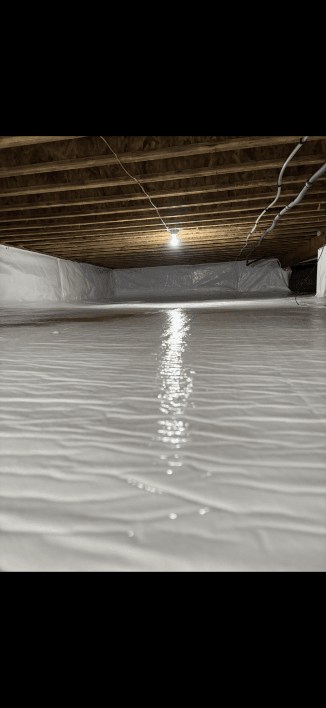 A crawl space with plastic lining on the floor and walls, a puddle of water in the center, and exposed wooden beams overhead, illuminated by a single light bulb.