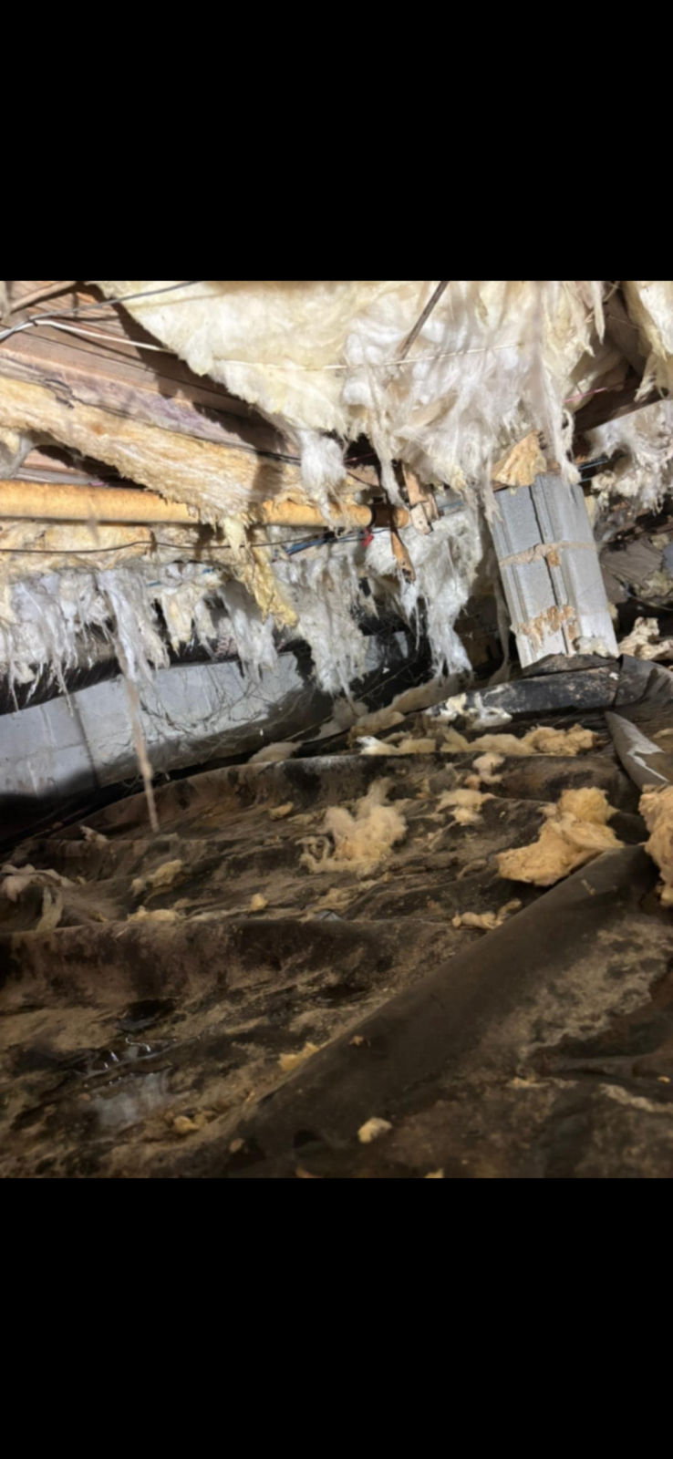 Crawl space with damaged and hanging insulation, exposed wooden beams, and scattered debris on the ground.