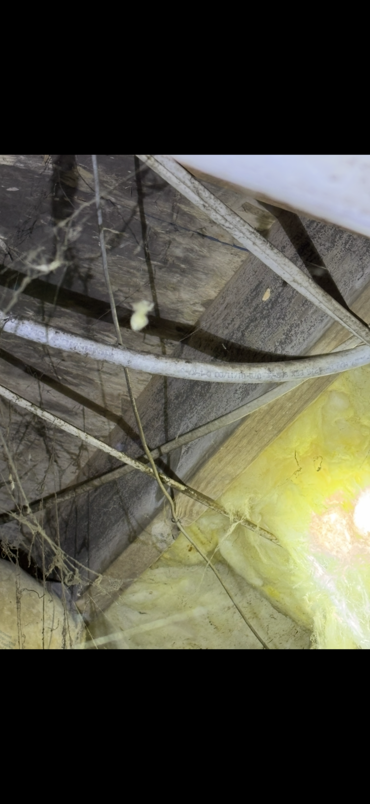 Exposed electrical wires and insulation in a dusty, wooden attic or crawl space with cobwebs visible.