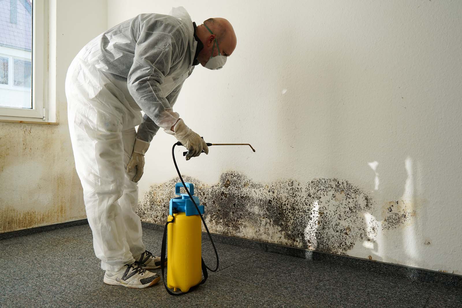 A person in protective gear performs mold remediation by spraying a chemical on a mold-infested wall inside a room.