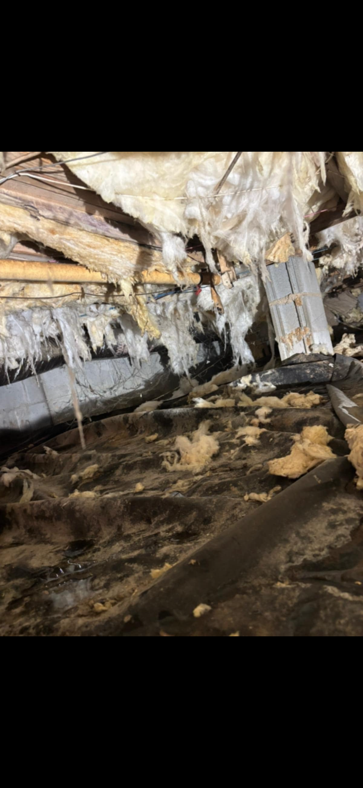 Crawl Space Repair in Petersburg VA